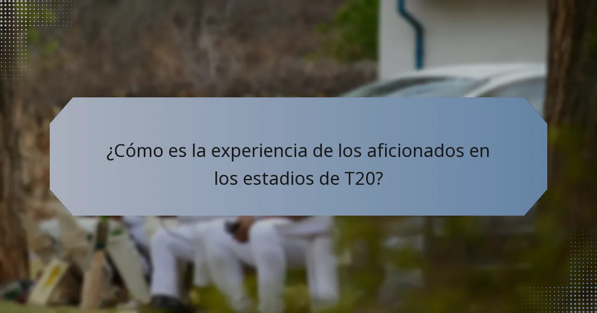 ¿Cómo es la experiencia de los aficionados en los estadios de T20?