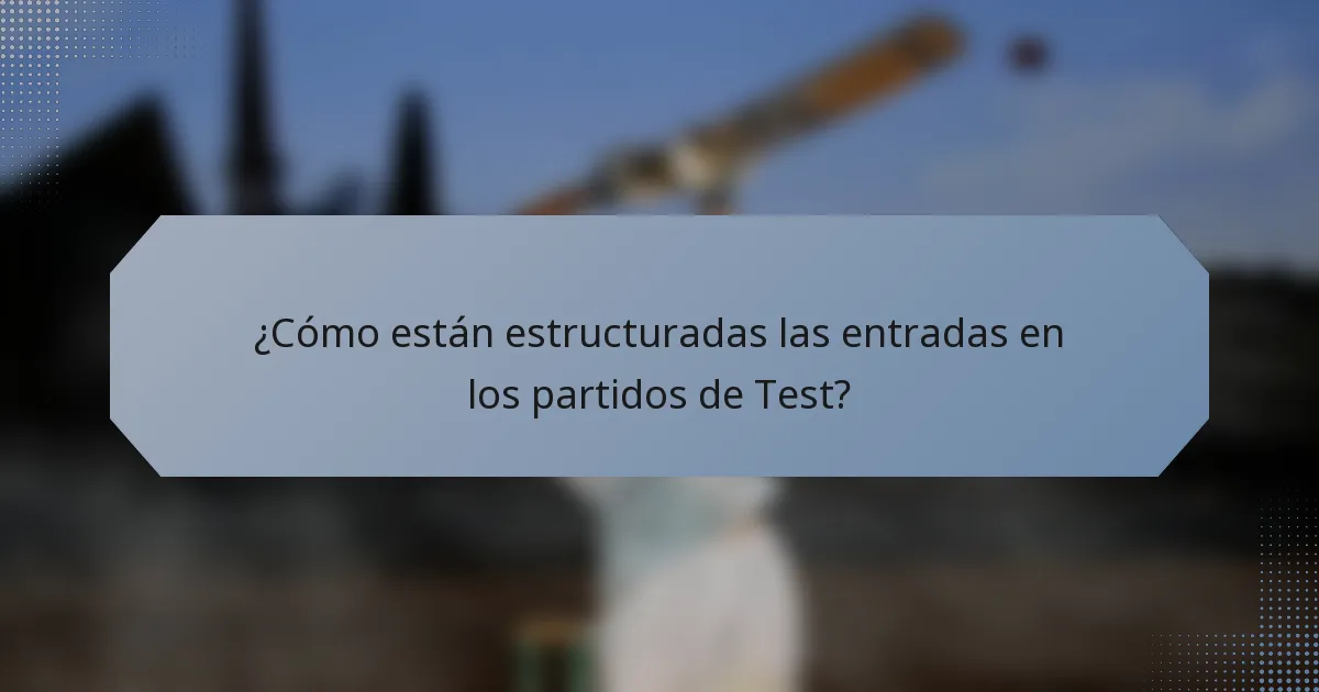¿Cómo están estructuradas las entradas en los partidos de Test?