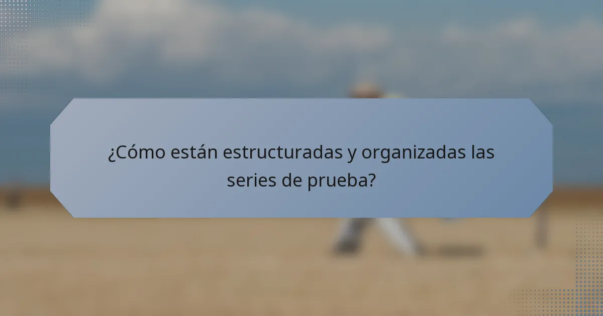 ¿Cómo están estructuradas y organizadas las series de prueba?