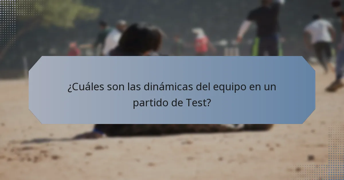 ¿Cuáles son las dinámicas del equipo en un partido de Test?