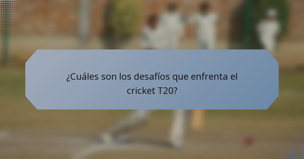 ¿Cuáles son los desafíos que enfrenta el cricket T20?