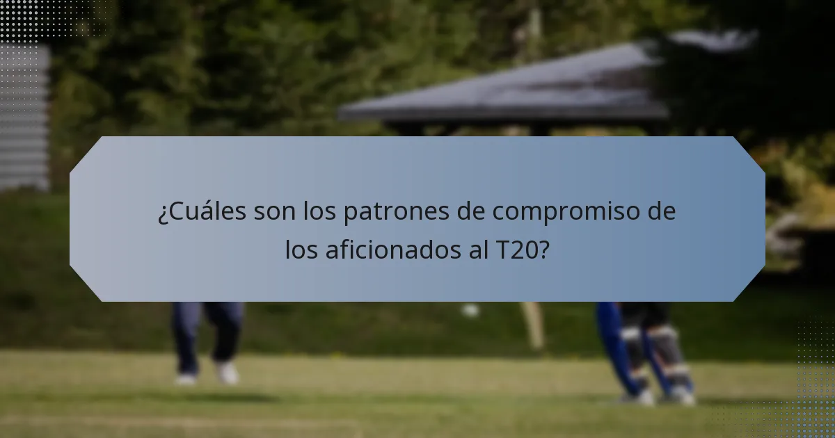 ¿Cuáles son los patrones de compromiso de los aficionados al T20?