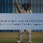 Desafíos de un Día Internacional: Clima, Condiciones del terreno, Condición física de los jugadores