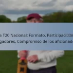 Liga T20 Nacional: Formato, Participación de jugadores, Compromiso de los aficionados