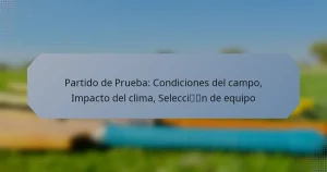 Partido de Prueba: Condiciones del campo, Impacto del clima, Selección de equipo