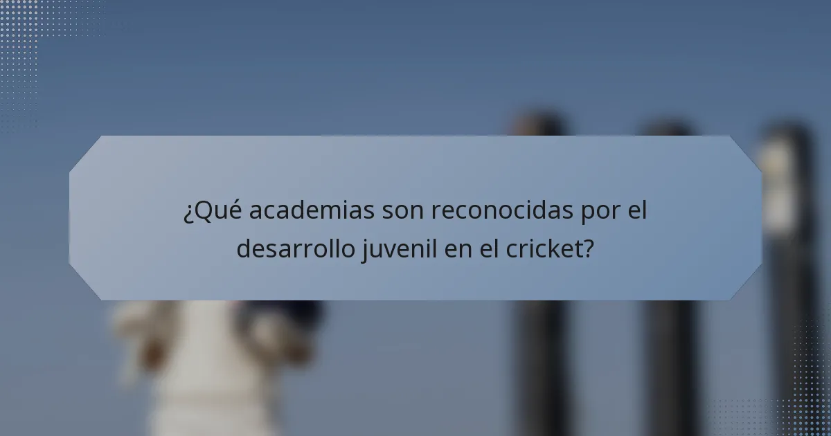 ¿Qué academias son reconocidas por el desarrollo juvenil en el cricket?