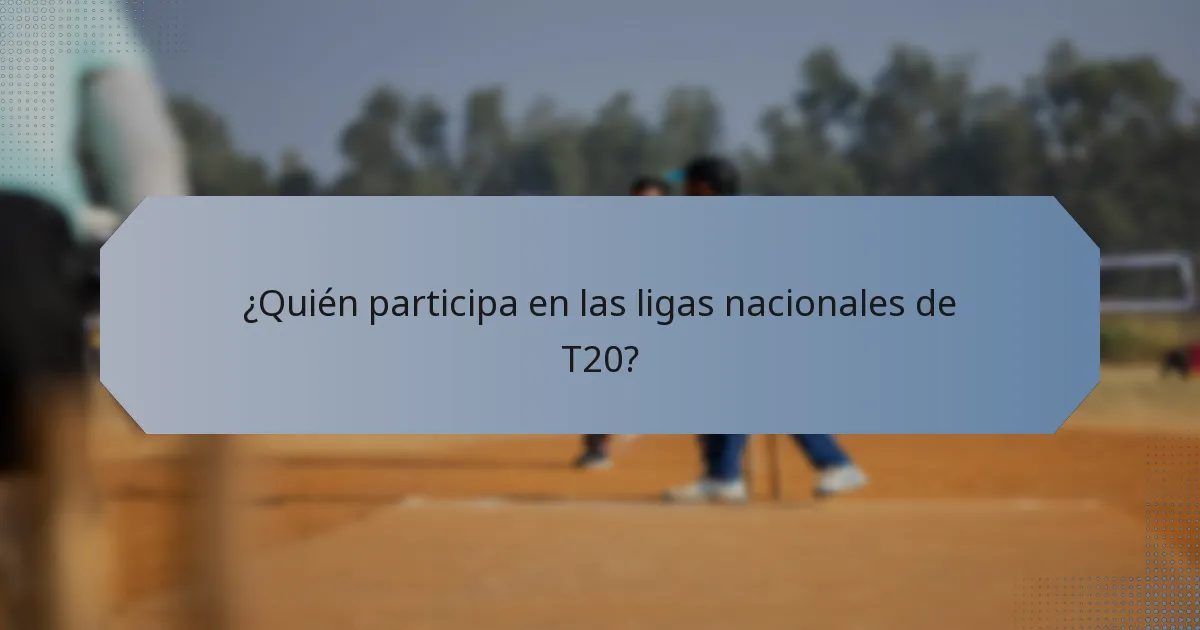 ¿Quién participa en las ligas nacionales de T20?
